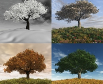 The Seasons